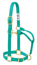 Weaver Leather Original Adjustable Nylon Horse Halter, Weanling/Pony, Emerald Green
