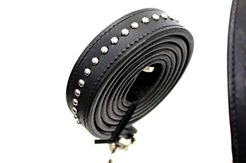 Derby Originals New and Improved Premium Show Spotted Flat Leather Cattle Show Halter with Matching Chain Lead - color: Black, size: Small (350-700lbs)