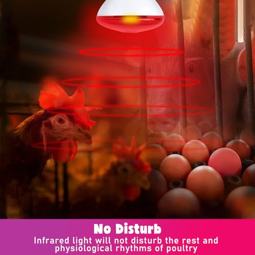 LUCKY HERP Infrared Heat Lamp for Chickens - 250 Watts Red Heat Lamp Bulb 1 Pack, Heat Light Bulb for Brooder Coop, Food Service, Chicks, Pet, Reptile - style: 250 Watts 1 PACK