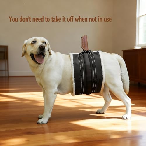 Dog Lift Harness for Large Dogs, Dog Sling for Back Leg,Senior,Disabled Dog | Comfortable Adjustable Dog Carry Harness with Handle, Dog Mobility Aids for Walking/Stand up After Hip Surgery/CCL Injury - size: L / XL：80 - 350 Lbs