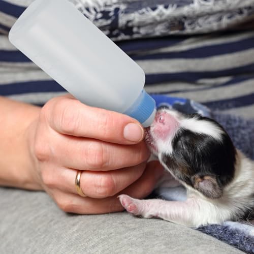 UPKOCH 3Pcs Cat Nursing Bottle Set PET Feeding Bottles for Kittens and Puppies Replacement Nipples for Newborn Animals