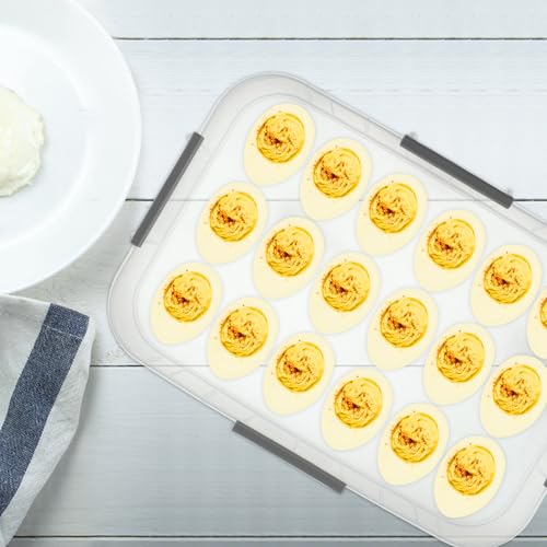 FMOACEN 2-Layer Deviled Egg Containers with Lid, 36 Slots Deviled Egg Tray Carrier with Lid Clear Eggs Storage Box Portable Egg Holder Platter with Handle for Easter Party Home Kitchen Supplies
