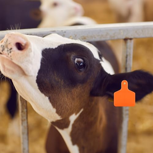 Lothee 100 Pcs Blank Cattle Ear Tags Large Plastic Precision Animal Identification Blank Livestock Ear Tags for Cattle Cow Horse Dog Pig Goat Sheep Farm Management (Orange) - color: Orange