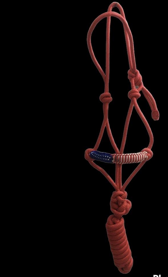 Majestic Ally Poly Braided Patriotic Nose Poly Rope Halter and 10' Matching Lead - color: Red