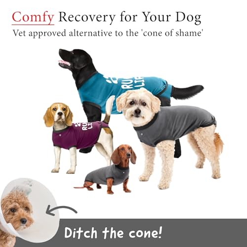 Dog Surgery Recovery Suit, Male Female After Spay Neuter Onesie | Soft Breathable Cotton, Anti-licking Cone Alternative, Protects Stitches & Abdominal Wounds, Patented Clip-up Potty System - color: Grey, size: Mini