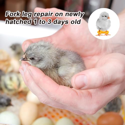 Gosknor 15pcs Chicken Leg Bands, Baby Chick Splay Leg Hobble Chicken Leg Bands Poultry Leg Ties Chicken Ties Chicken Hobble Braces for 1 to 3 Days Old Newborn Chicks Birds