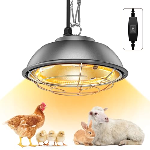 350 Watt Heat Lamp for Chickens - Chtoocy Chicken Coop Heater with Carbon Fiber Bulb, 5.2FT Thickened Power Cord & Chicken Heat Lamp with 2 Temperature Adjustable (175/350W) for Chicks, Ducks and Pets
