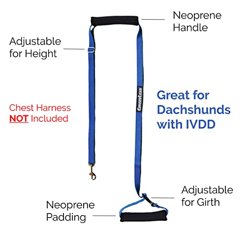 GINGERLEAD Dog Back Support IVDD Sling Harness, X-Small & Dachshunds | Fits Pets Under 25 lbs and Doxies, Walking Aid for K9s with Disc Disease, Fully Adjustable, Chest Harness NOT Included - size: X-Small - Male