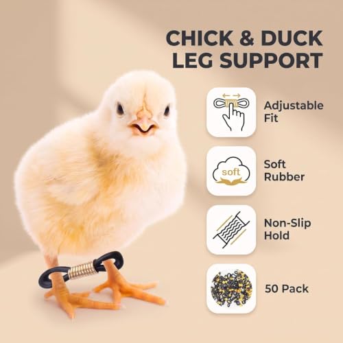 50 Pcs Black Baby Chick Splay Leg Hobble Chicken Leg Bands,Adjustable Chicken Hobble Braces for Spraddle Leg Repair Poultry Care Supplies,Bird Ducks Newly Hatched,Poultry Feeding and Watering Supplies