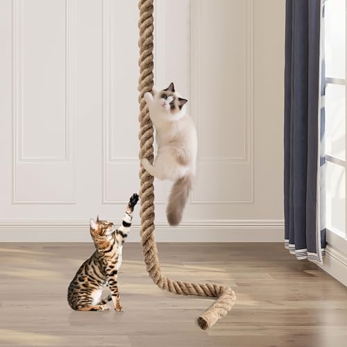 2" x 9.84Ft Cat Climbing Rope with Hook for Ceiling & Wall Mounted | Natural Sisal Rope for Cat Scratcher with Feather Toy for Indoor/Outdoor Cats, Durable Cat Tree Replacement Rope