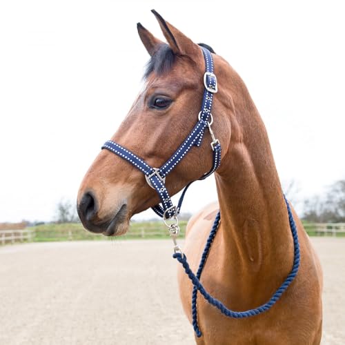 HORZE Cooper Halter with Lead Rope - Peacoat Dark Blue - Warmblood - size: Warmblood