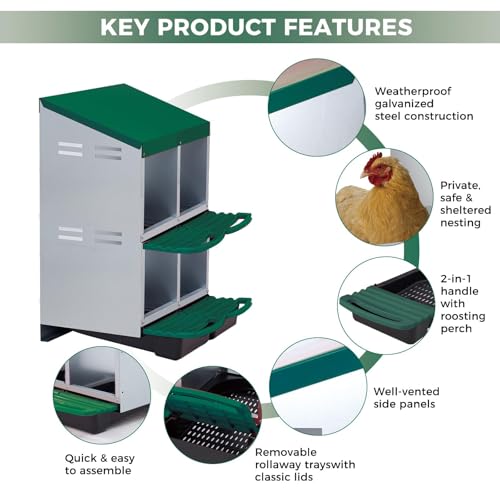 4 Hole Chicken Nesting Box, Heavy Duty Galvanized Steel Poultry Nest Box, Wall Mount/Freestanding Design for Hens, Ducks, Backyard Homesteads & Farm Use, Green, with Legs, No Stand - color: Green, size: 4 Room&Legs