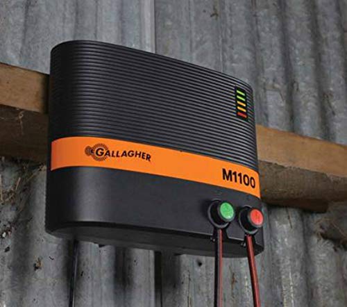 Gallagher M1100 Electric Fence Energizer | 110V Plug-In Fence Charger for Livestock and Wildlife Control | 110 Mile Coverage | High-Output Fence Energizer with Pulse Technology and Fence Monitoring