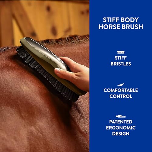 Wahl Professional Animal Equine Stiff Body Horse Brush, 858705, Black | Effortlessly Removes Mud, Sweat, and Dirt, Comfortable Rubber Grip, Easy to Use and Fits Comfortably Your Hand - color: Black