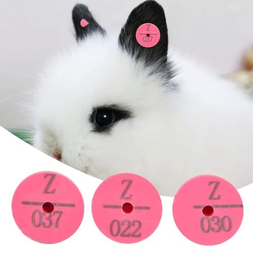 Fdit Plastic Animal Ear Numbered ID Marker for Rabbit Dog Rose Red Lightweight Round 0.7 x 0.7 x 0.5 in 100 100 Buttons