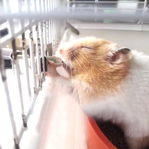 8pcs Stainless Steel Rabbit Watering Nipples Metal with Cage Clips Rabbit Water Nipples Dispenser Hamster Waterer Automatic Watering System - color: silver