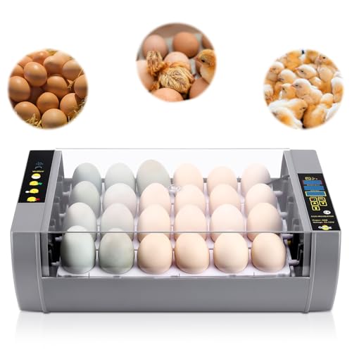 Gpeng Egg Incubator, 24 Eggs Incubator with Digital Display, Auto Egg-Turning, Auto Temperature Control, for Hatching Chicken Goose Pigeon Quail Duck