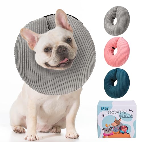 BINGPET Inflatable Dog Cone Collar,Dog Neck Donut Alternative After Surgery | Soft Cone for Large Medium Small Dogs Cats, Recovery E Collar to Stop Licking Pets from Injury, Lightweight Breathable Cotton - color: Grey, size: New M(Neck: 13"-15" | Diameter