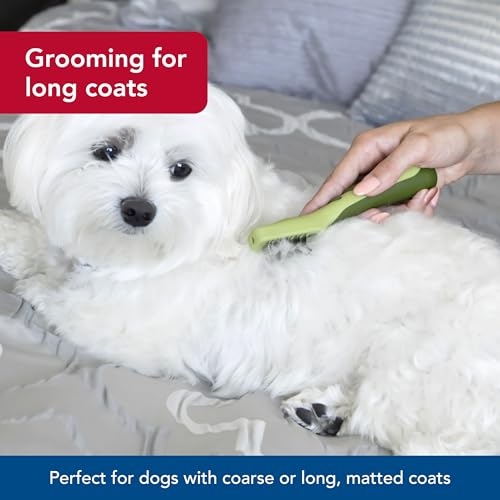 Coastal Pet Safari Dematting Comb - Brush for Dogs with Coarse, Matted or Medium to Long Hair Coats - One Size