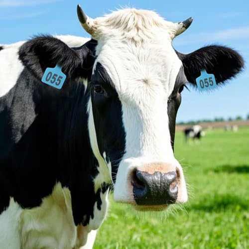 Cattle Ear Tags 001-100, 100Pcs Plastic Livestock Ear Tag for Cows Goats Sheep Pigs with Pliers Applicator & 2 Pins, Animal ID Tags for Ranch Farm Herd Tracking, Laser Print (001-100, Blue) - color: Blue