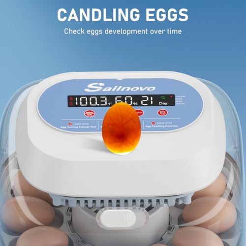 Sailnovo 12 Eggs Incubator, 4 Modes, Temp Control & Humidity Display, Blue | Built-in Candler, 360°View Window, Humidity Alarm, Dry Hatching, Easy Cleaning, Chicken Duck Quail eggs, Home Classroom Farm - color: Blue, size: 12 Eggs