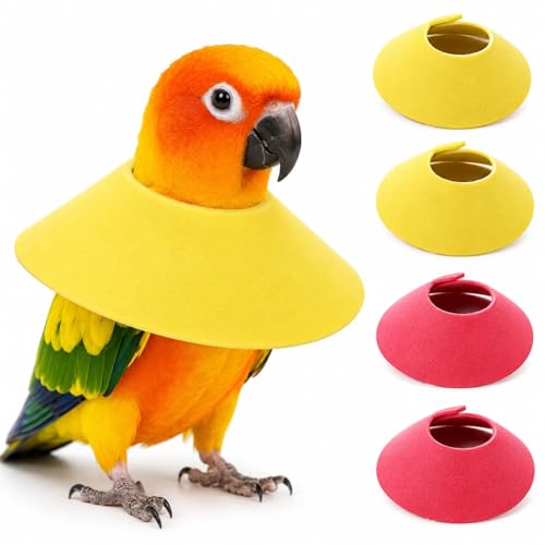 4pcs Bird Cone Collar Cockatiel/Sun Conure | Bird Elizabethan Collar for Wound Biting Prevention&Feather Plucking, Protective Recovery Cone for Lovebird Cockatiel Parrots - size: M