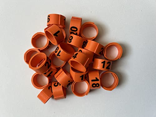 Legbands for Chickens, Gamefowl, Quail, & Poultry (Numbered) (PK. 25) (Size 11, Orange) - color: Orange