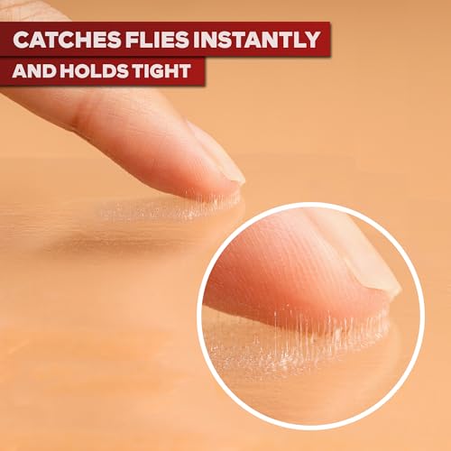 XFasten Window Fly Traps Sticky Clear 100-Pack Fruit Fly Traps for Indoors Sticky, Residue-Free, Odorless, Discreet Adhesive Indoor Catcher for Fruit Flies Houseflies, Gnats on Windows Kitchen Garage - style: 100-Pack
