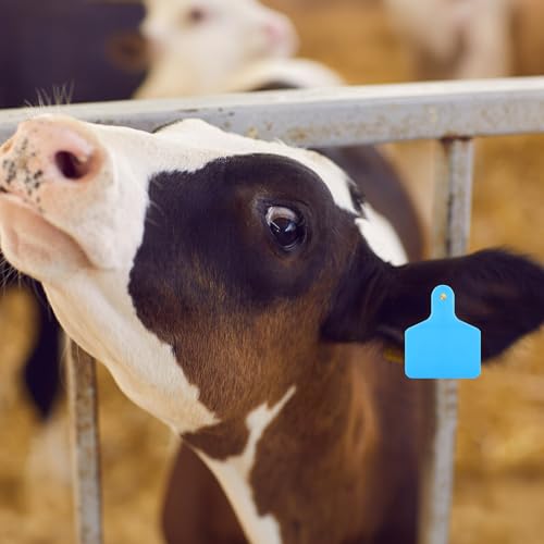 Lothee 100 Pcs Blank Cattle Ear Tags Large Plastic Precision Animal Identification Blank Livestock Ear Tags for Cattle Cow Horse Dog Pig Goat Sheep Farm Management (Blue) - color: Blue
