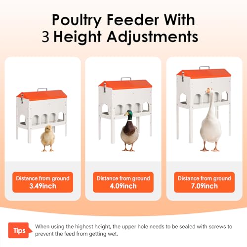 15lbs Automatic Chicken Feeder - 10 Feeding Ports Duck Feeder | No Waste Poultry Feeder, Large Feeding Though Dispenser for Chickens Duck, Galvanized Metal Material, Sturdy And Durable