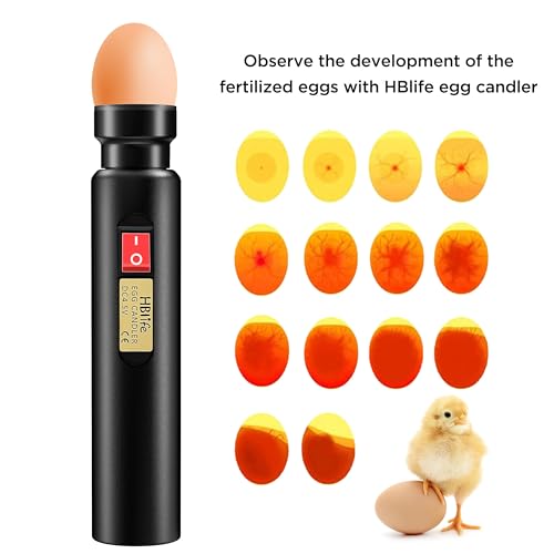 HBlife Egg Candler Wireless Rechargeable LED Bright Cool Light, Egg Candler Tester for Monitoring Eggs Development with 2 Soft Rubber