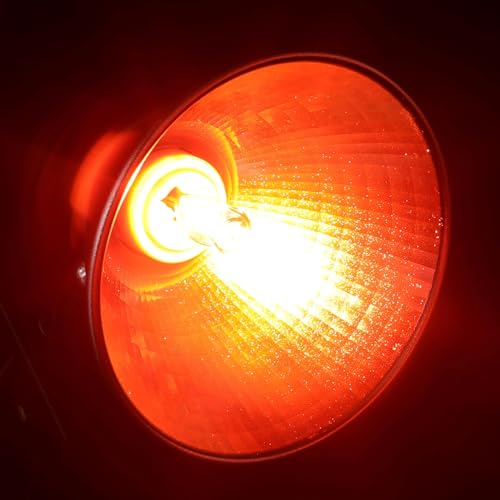 3 Pack Replacement G9 Infrared Heat Lamp for Chickens, Tiny Red Bulbs Beads (75 Watt)