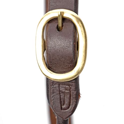 Jeffers Soft Pre-Oiled Harness Leather Show Halter for Cattle – Durable Rolled Cheeks, Noseband, 6’ Lead Rope with 24" Brass Chain & Bolt Snap, Safe Handling, Top Accessory - size: Medium
