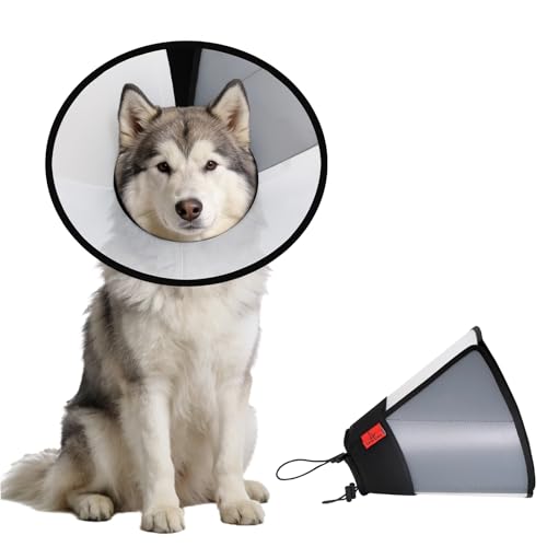 Plastic Dog Recovery Cone Collar, Soft Comfortable Breathable Post-Surgery Pet Cone, Escape-Proof & Easy Clean, Prevents Licking Wounds, Waterproof & Adjustable XL (Neck 17.3"-21.2") - size: XL(Neck 17.3"-21.2")