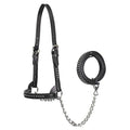 Derby Originals New and Improved Premium Show Spotted Flat Leather Cattle Show Halter with Matching Chain Lead - color: Black, size: Small (350-700lbs)