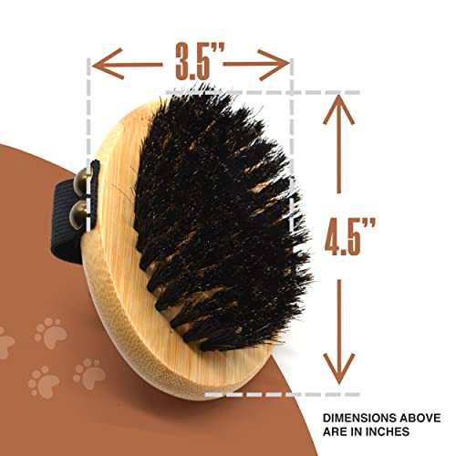 The Buddy System - Pet Close Brush, Oval Palm Brush with Boar Bristles | Dog & cat grooming brush for shedding, massage, healthy coat, and pet hair care. Fits in your palm for daily grooming - color: Boar Bristle