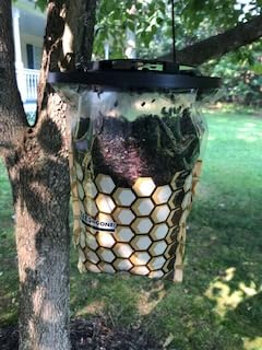 Classic Flies Be Gone Fly Trap – Disposable Outdoor Fly Trap, Protein-Powered Attractant for Farms, Ranches & Patios Hanging Fly Catcher, Fast Fly Infestation Control for Livestock & Backyards 5-Pack