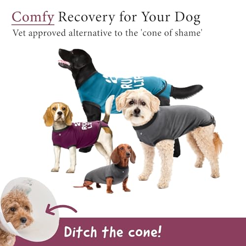 Dog Surgery Recovery Suit, Male Female After Spay Neuter Onesie | Soft Breathable Cotton, Anti-licking Cone Alternative, Protects Stitches & Abdominal Wounds, Patented Clip-up Potty System - color: Maroon, size: X-Small