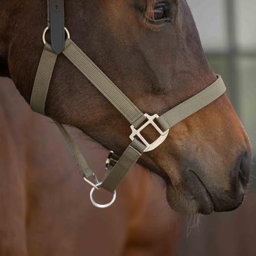 Equinavia Loki Nylon Horse Halter: Breakaway Leather Crown, Adjustable Fit - color: Light Olive, size: Cob