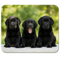 Three Black Lab Puppies Mouse Pad 9.5" x 7.9", Adorable Labrador Retriever Puppies Cute Desk Mat, Dog Mom Gift - color: Black Lab Puppies