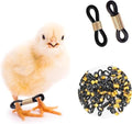 50 Pcs Black Baby Chick Splay Leg Hobble Chicken Leg Bands,Adjustable Chicken Hobble Braces for Spraddle Leg Repair Poultry Care Supplies,Bird Ducks Newly Hatched,Poultry Feeding and Watering Supplies
