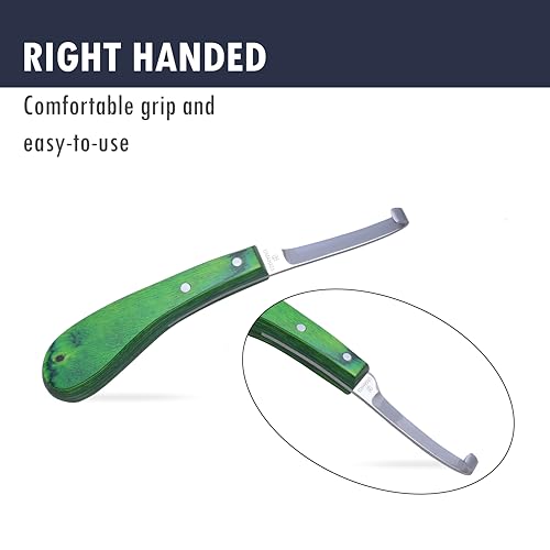 Professional Hoof Knife – Premium Stainless Steel Farrier Knife with Green Wooden Handle | Sharp Hoof Trimming Tool for Horses, Goats & Livestock | Left/Right Hand and Double Edge Use