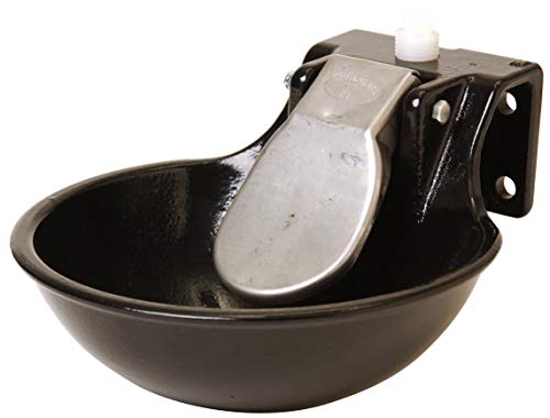 Little Giant Automatic Livestock Water Push-Paddle Epoxy Coated Automatic Stock Waterer, Great for Horses, Cows and Hogs (Item No. 77), Black