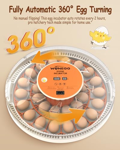 Incubator for Hatching Eggs, 30 Eggs Incubator with Automatic Egg Turning, Temperature Control & Humidity Display, LED Egg Candler, for Chicken, Quail, Parrot Eggs