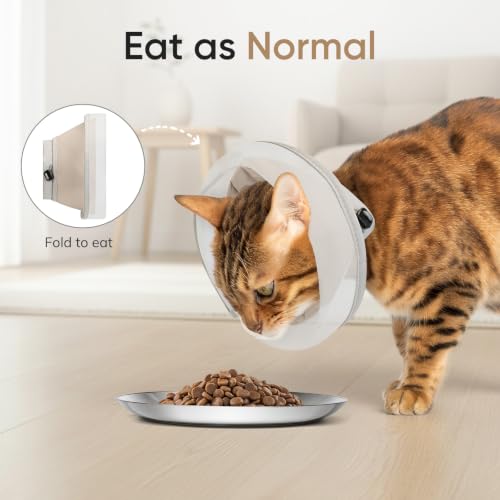 Supet Soft Cat Cone Collar to Stop Licking, Breathable Mesh Cone with Waterproof Liner Recovery Collar, for Kitten and Large Cats, Comfortable Elizabethan Alternative for Spay Neuter Grooming, M, Grey - color: Grey, size: M