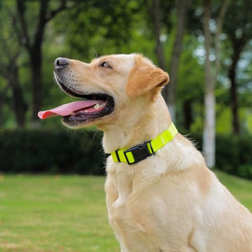 Waterproof Dog Collar, Easy to Clean Rubber Dog Collars with Quick Release Buckle Fits Small Medium or Large Dogs (Yellow, M < 11.8-18.5 inch) - color: Yellow, size: M (11.8-18.5 inch)