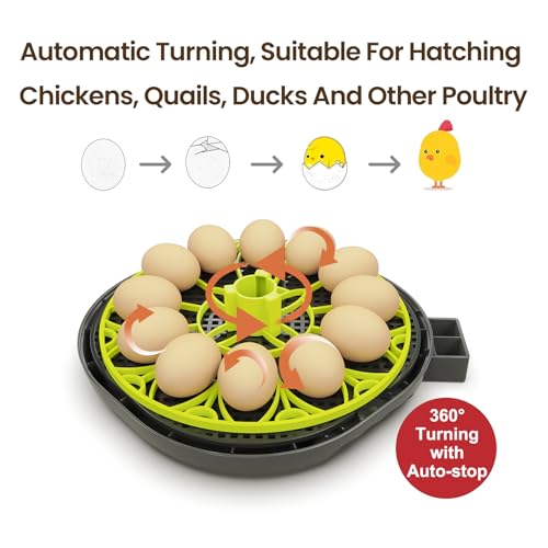 Incubators for Hatching Eggs 12 Egg Incubator with Automatic Egg Turning and Humidity Control,Egg Candler,Auto Water Replenishment,for Chicken Eggs and Quail Egg M12H - color: Green