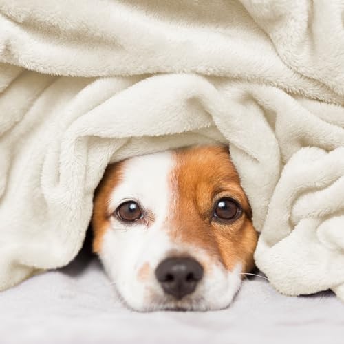 Hansleep Twin Beige Fleece Blanket, Soft Flannel Bed Blanket | Fuzzy Cozy Blanket 60x80 Inches, Multi-use for Bed, Sofa, Couch, Travel, Camping, All Season Warm Lightweight Cover - color: Beige, size: Twin (60x80 Inches)