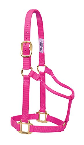 Weaver Leather Original Non-Adjustable Nylon Horse Halter, Diva Pink