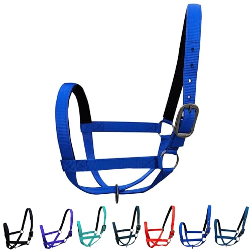 Majestic Ally Adjustable Nylon Cattle Halter with Padded Crown and Nose - 6-Month Warranty - color: Royal Blue